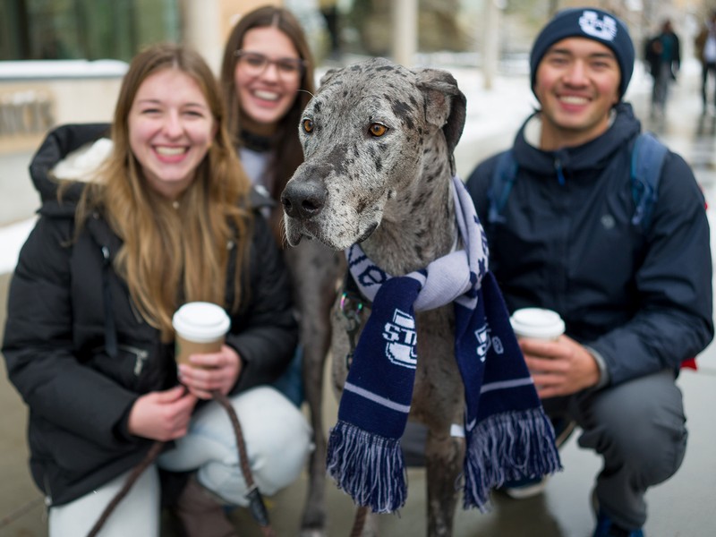 Image shows a group of Aggies with a dog wearing a scarf